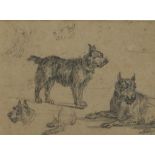 Dasveldt, studies van hond, tekening