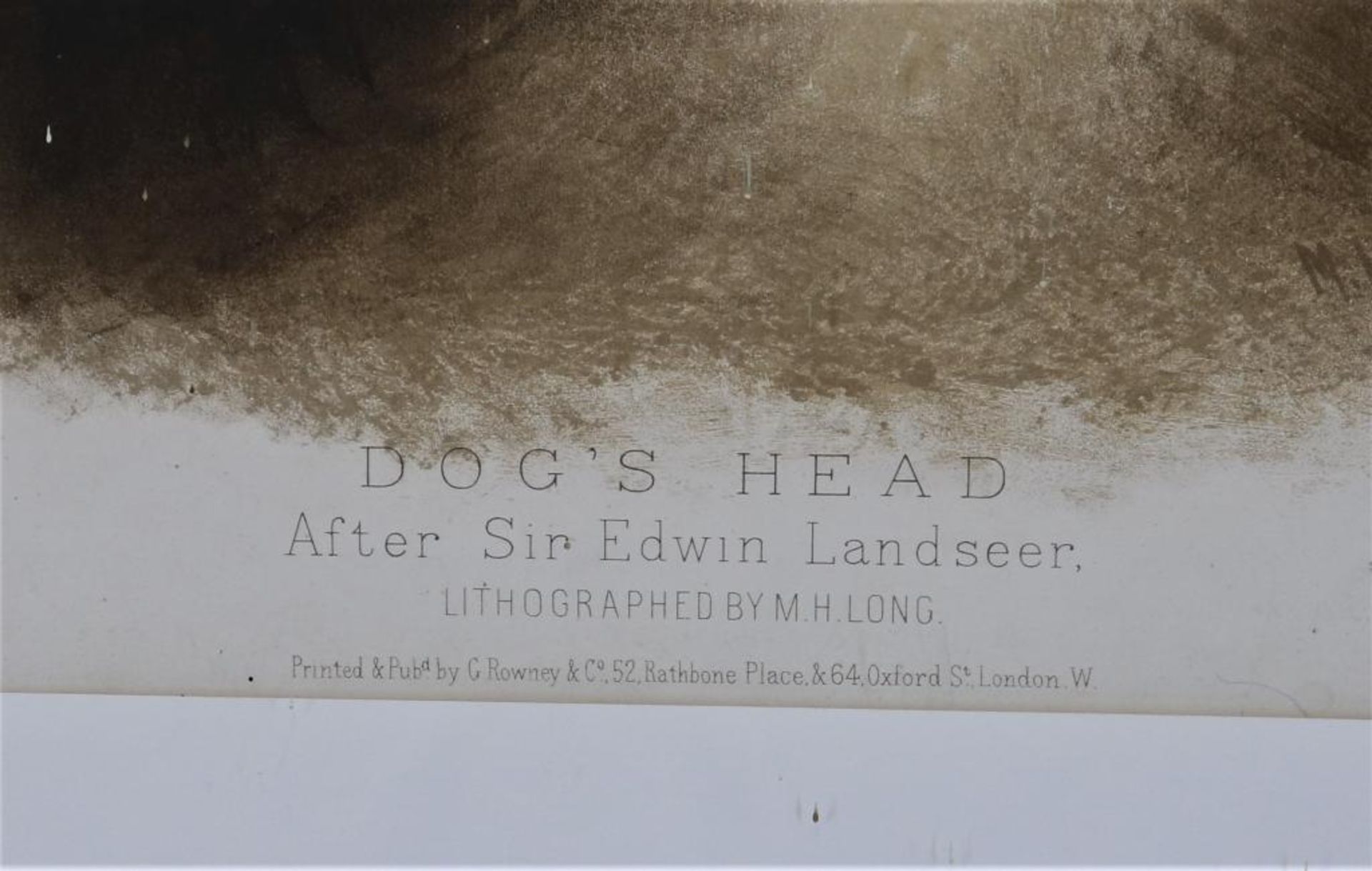 Landseer, Edwin. Dog's Head - Bild 2 aus 4