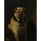 Gempt, Bernhard te. een Mastiff