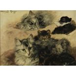 Ronner Knip, Hernriette. Katten