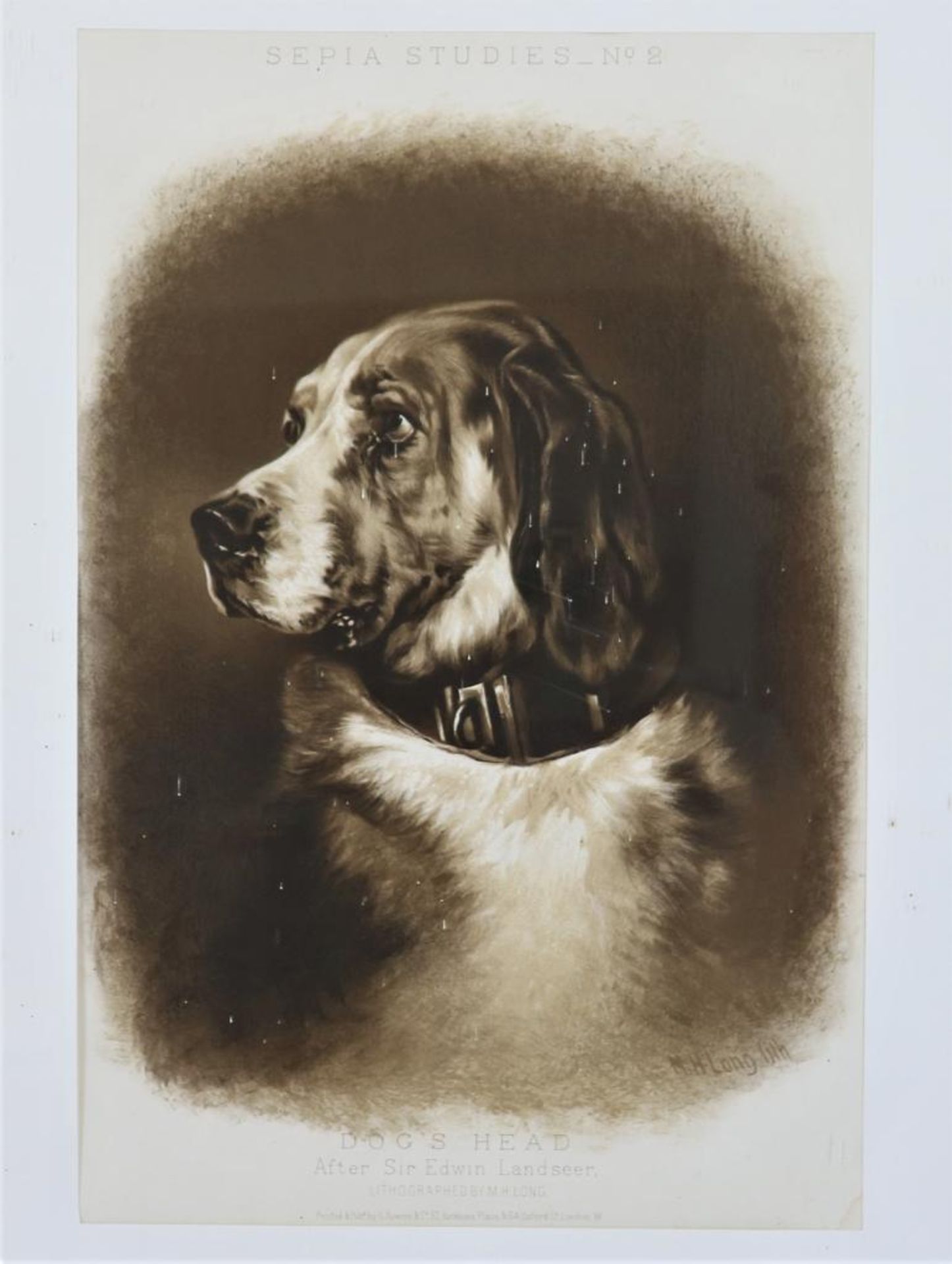 Landseer, Edwin. Dog's Head