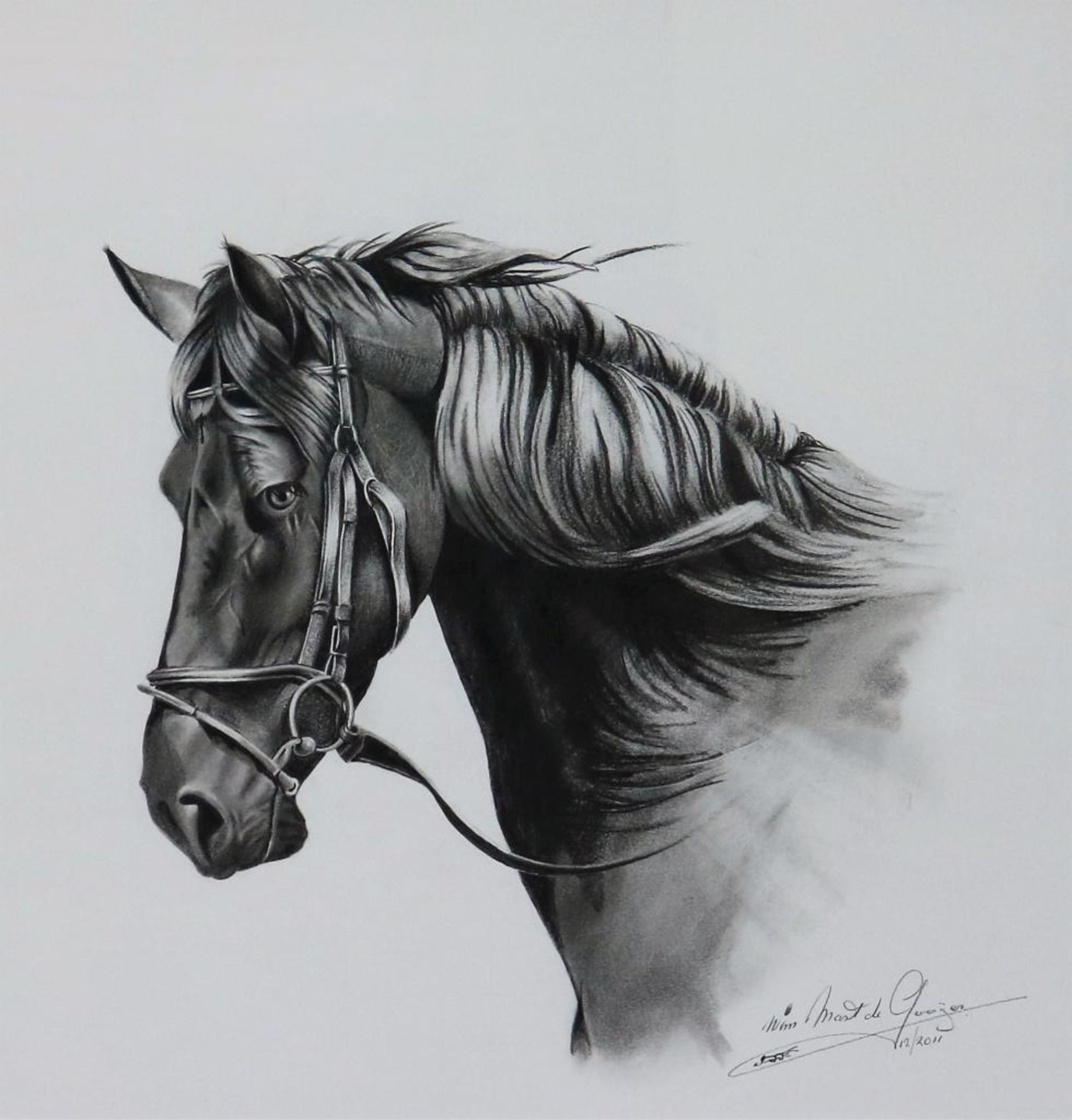 Gooijer, paardenhoofd, tekening