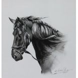 Gooijer, paardenhoofd, tekening