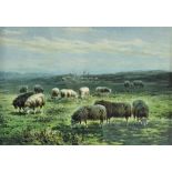 HOEDT, J.H., schapen op de hei, aquarel