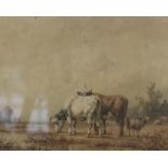 Koelman, koeien in de polder, aquarel