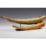 DRC., Mangbetu, two ceremonial ivory blow horns, ca. 1900.