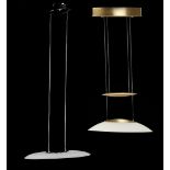 Modern glass pendant lamp with metal frame