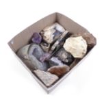 Collection of stones, minerals and petrified wood