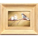 Signed Pollentine, 3 sparrows on a snowy branch