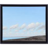 Unclearly signed, wide landscape with cloudy sky