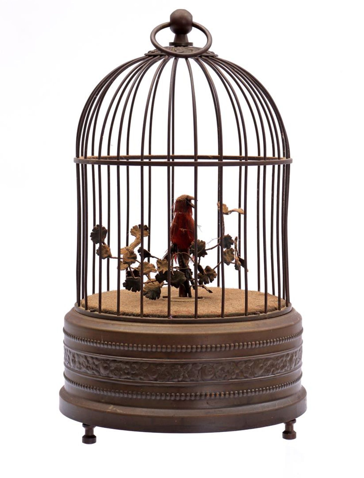 Bird cage