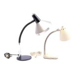 Hala Zeist 2 metal desk lamps