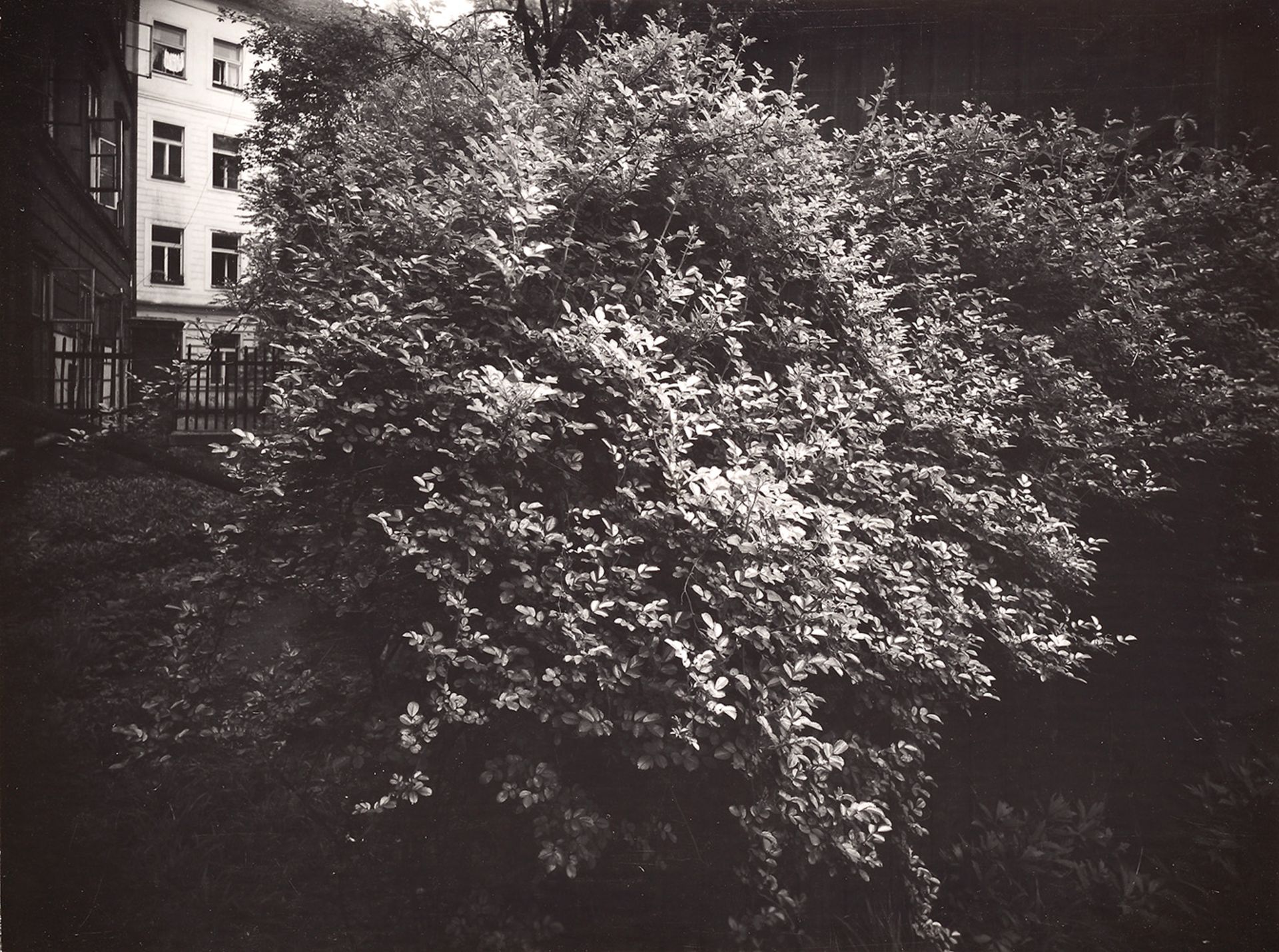 Josef Sudek, 1896-1976