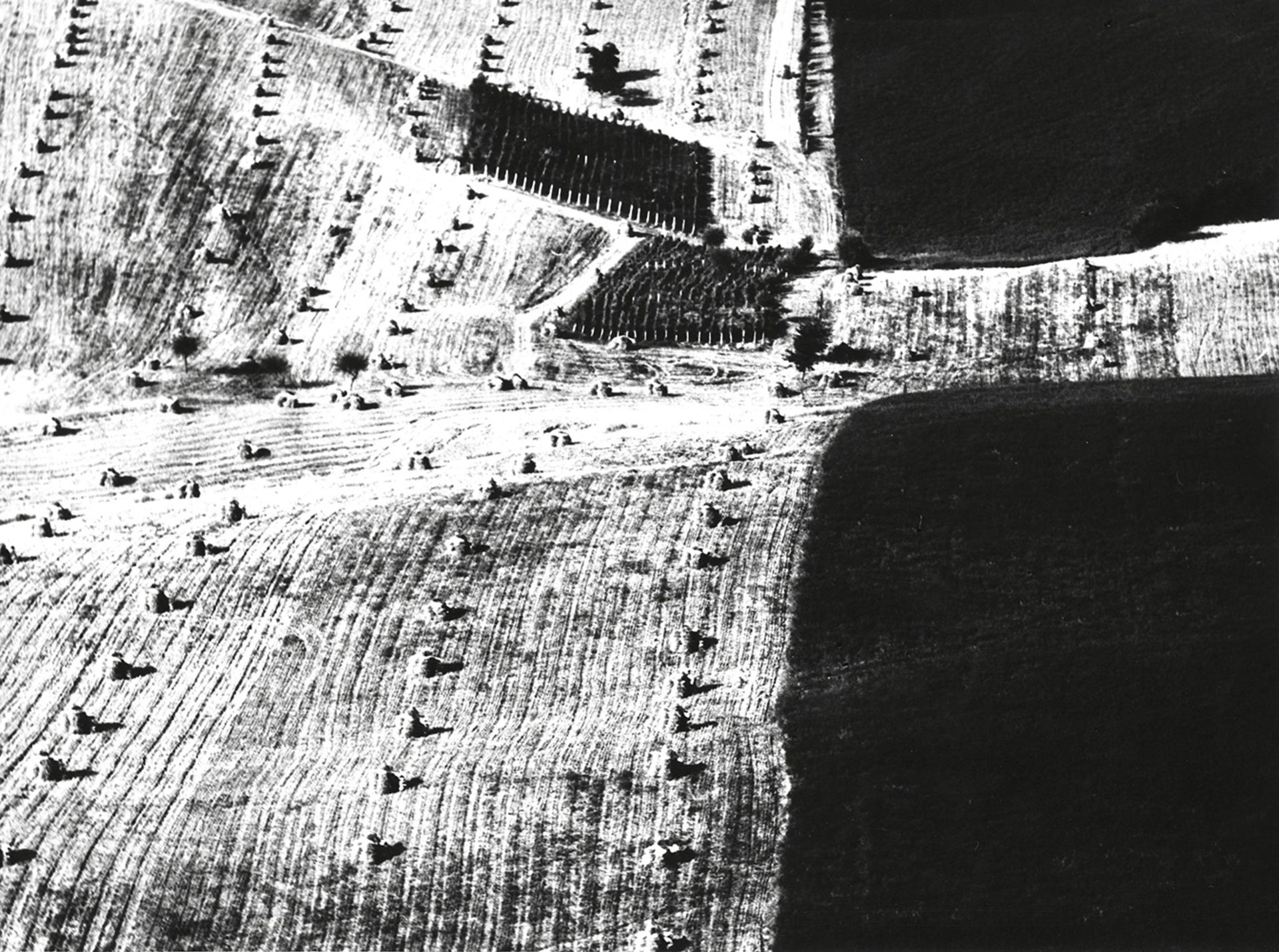 Mario Giacomelli, 1925-2000