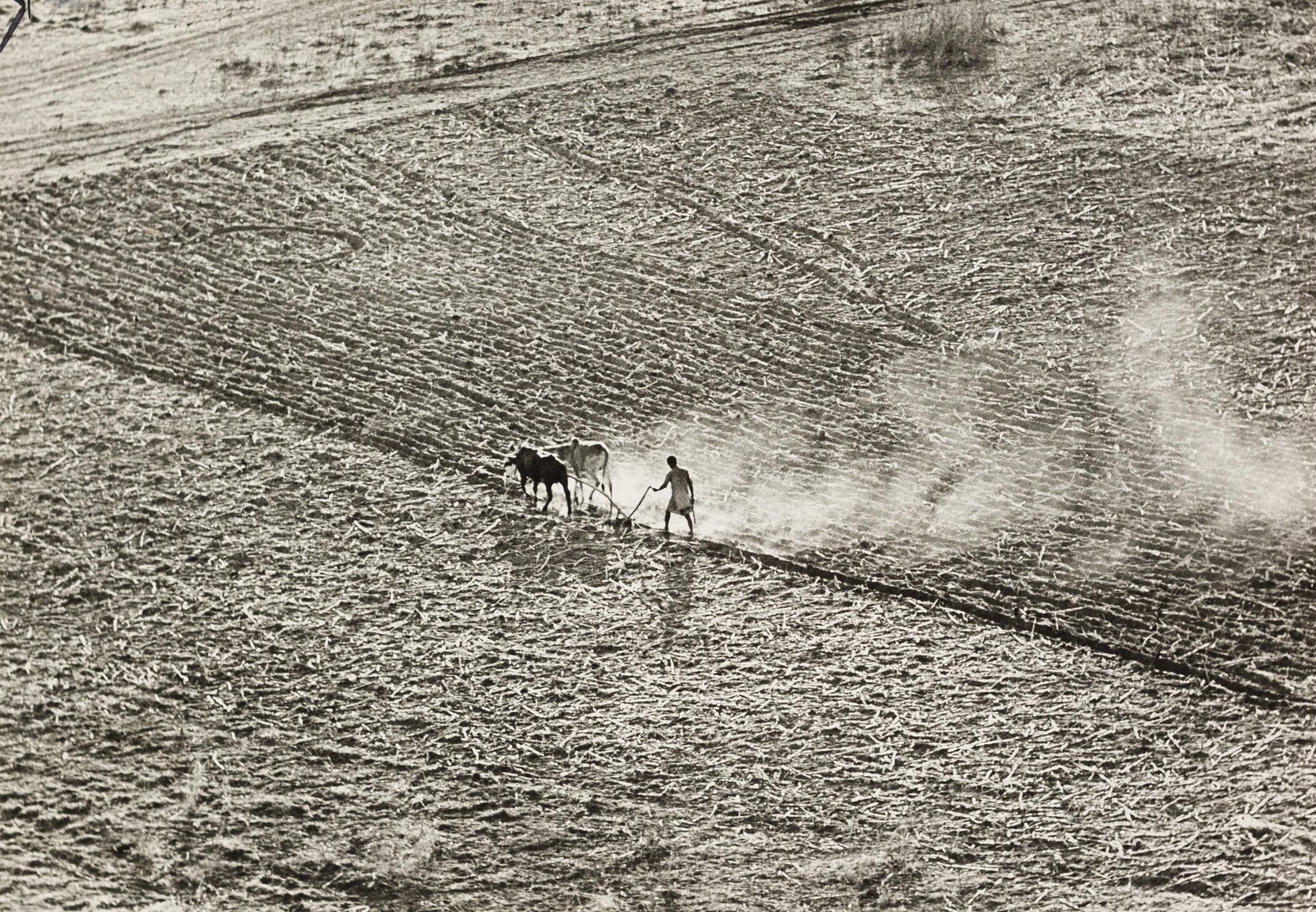 Toni Schneiders. 1920-2006