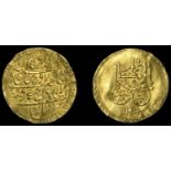 Islamic Coins from Various Properties