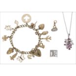 A 9ct gold charm bracelet, the curb-link bracelet suspending twelve assorted charms, to a padlock