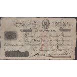 The David Muscott Collection of Northern County Provincial Banknotes