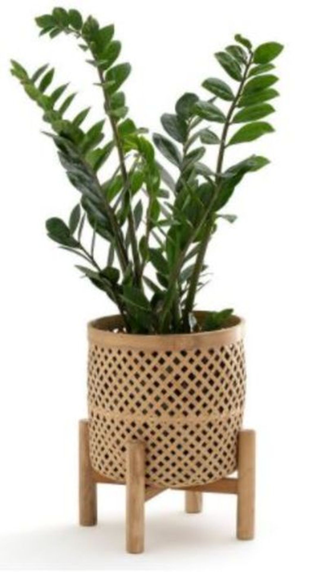 1 X LA REDOUTE VASE WITH BAMBOO SUPPORT 35 CM NATURAL BAMBOO / GRADE A / RRP £40.00