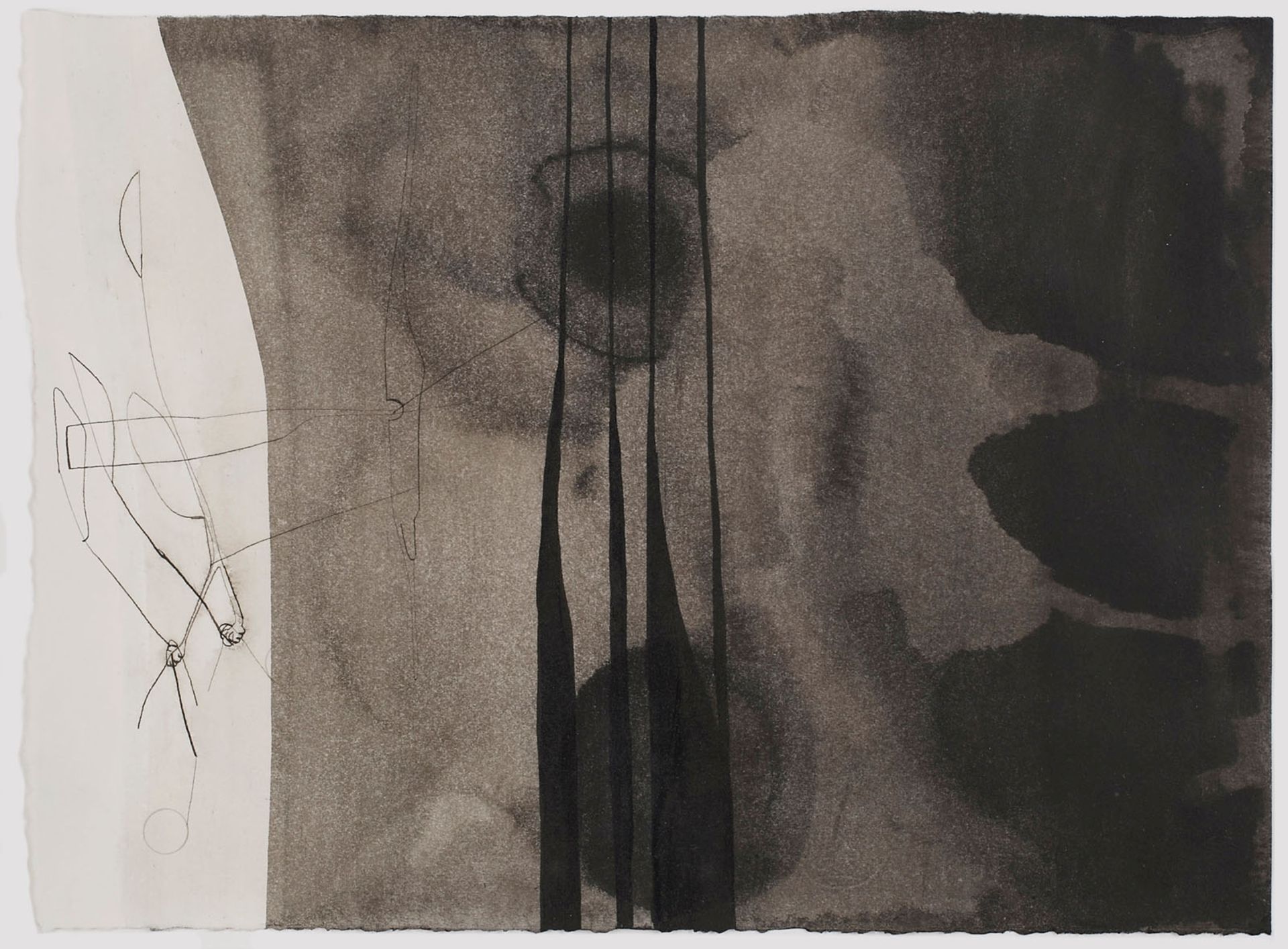 Drei Zeichnungen Tusche auf PapierTobias Raphael Pils geb. 1971 Linz "Gärten" 2001 Freiliegend, - Bild 2 aus 4