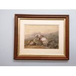 Watercolour |Portrait of a Dog| by Casper Holding circa 1880.