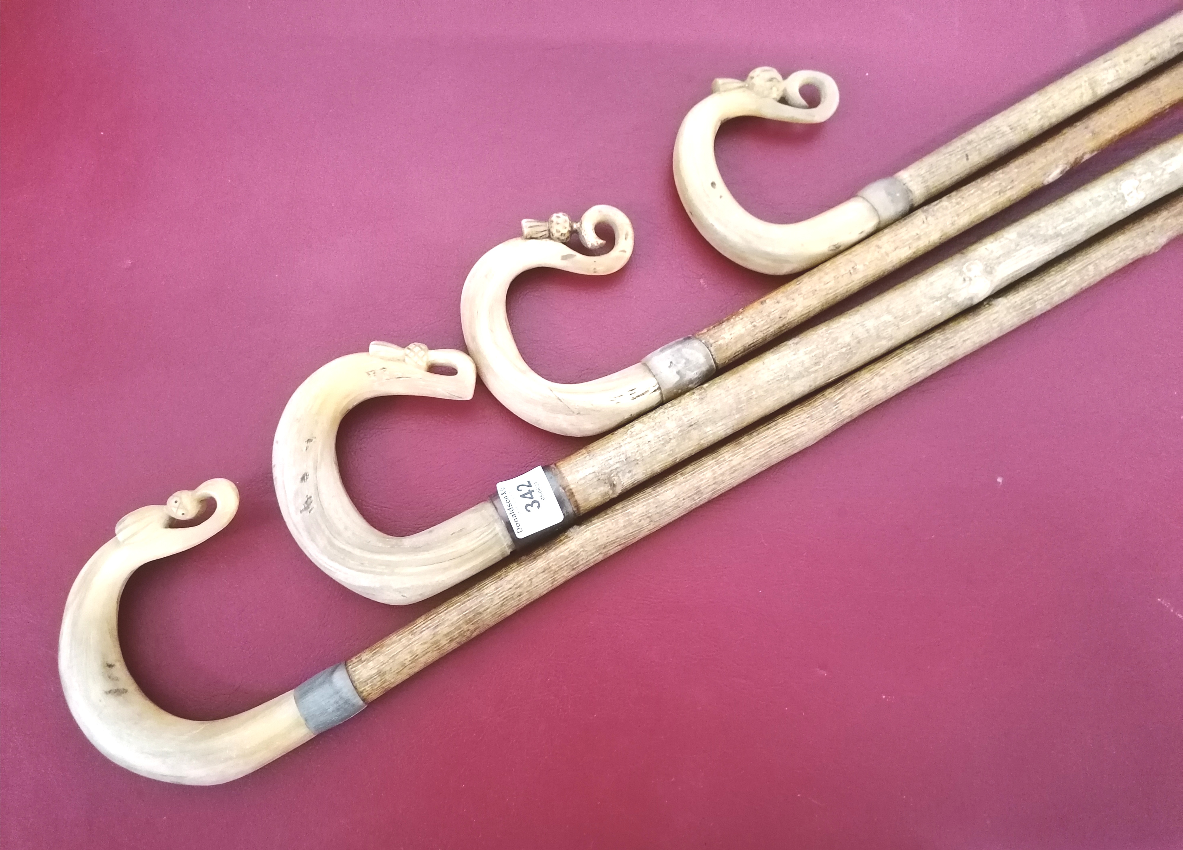 A collection of four horn handled walking canes.