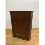 ANTIQUE OAK PANELLED CORNER CUPBOARD, 74cm wide, 94cm high