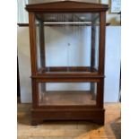 AN IMPRESSIVE MAHOGANY EXHIBITION CASE IN THE GRECIAN REVIVAL MANNER, (208cm high, 127cm wide,