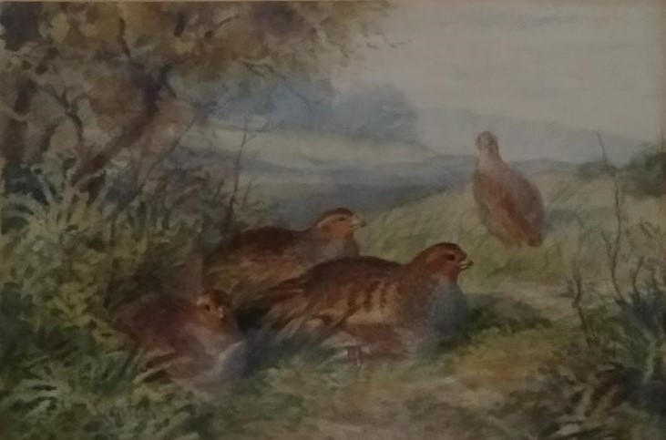 ATTRIBUTED JAMES STINTON (BRITISH 1870-1961) 'PARTRIDGES IN A LANDSCAPE' signed lower left, watercol