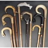 NINE 20TH CENTURY SCOTTISH HORN TOPPED AND WOOD WALKING STICKS variously carved as salmon etc