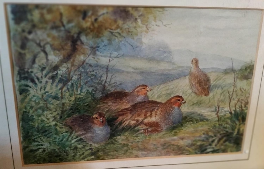 ATTRIBUTED JAMES STINTON (BRITISH 1870-1961) 'PARTRIDGES IN A LANDSCAPE' signed lower left, watercol - Image 2 of 2
