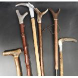 SIX 20TH CENTURY SCOTTISH WALKING STICKS  with antler tops and a box of raw antler and horn ?blanks?