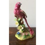 CROWN STAFFORDSHIRE FIGURE OF WIDOW BIRD, signed J.T Jones