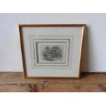 STUDY OF TWO GREYHOUNDS 19TH CENTURY engraving, framed 12cm high, 16cm wide