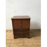 A VICTORIAN MAHOGANY CUPBOARD WITH TWO DRAWERS