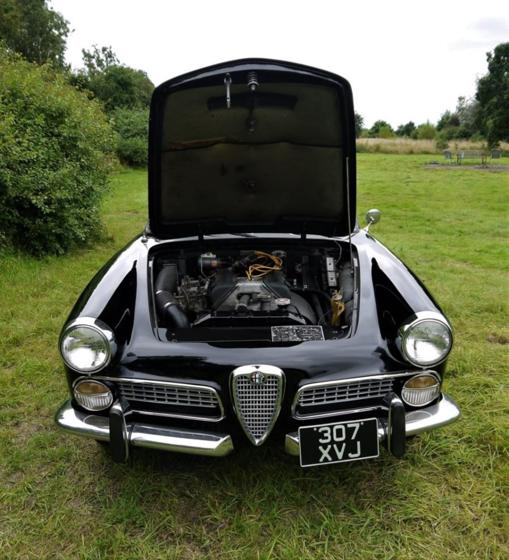 1960 ALFA ROMEO TOURING SPIDER Registration Number: 307 XVJ Chassis Number: AR*10204*000517 Recorded - Image 12 of 36