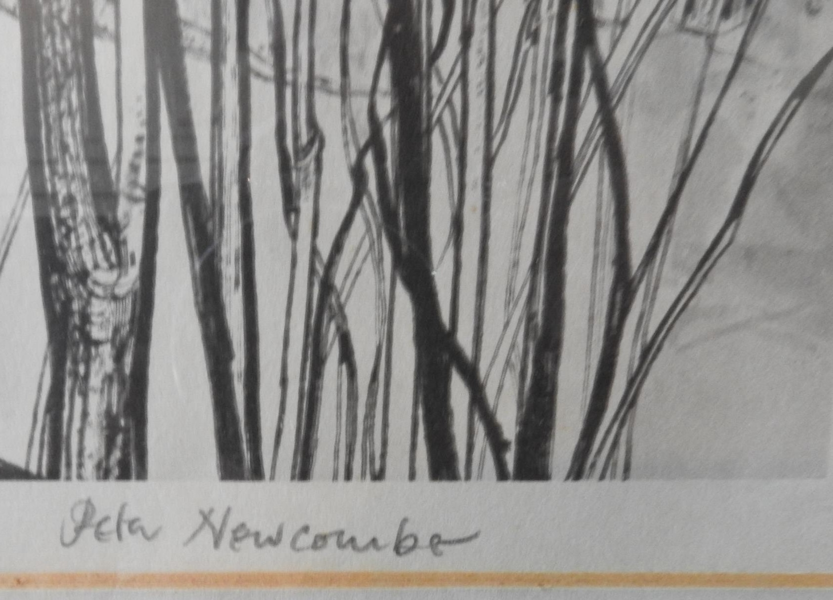 SIGNED AND NUMBERED WINTER SCENE MONOCHROME PRINT BY PETER , signed in pencil on lower edge and - Image 2 of 3