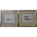 TWO FRAMED NATURAL HISTORY COLOUR PLATES DEPICTING FUNGUS, 22.5 x 27 cm