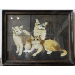 OIL PAINTING ON PAPER OF THREE CATS, 26 x 34 cm