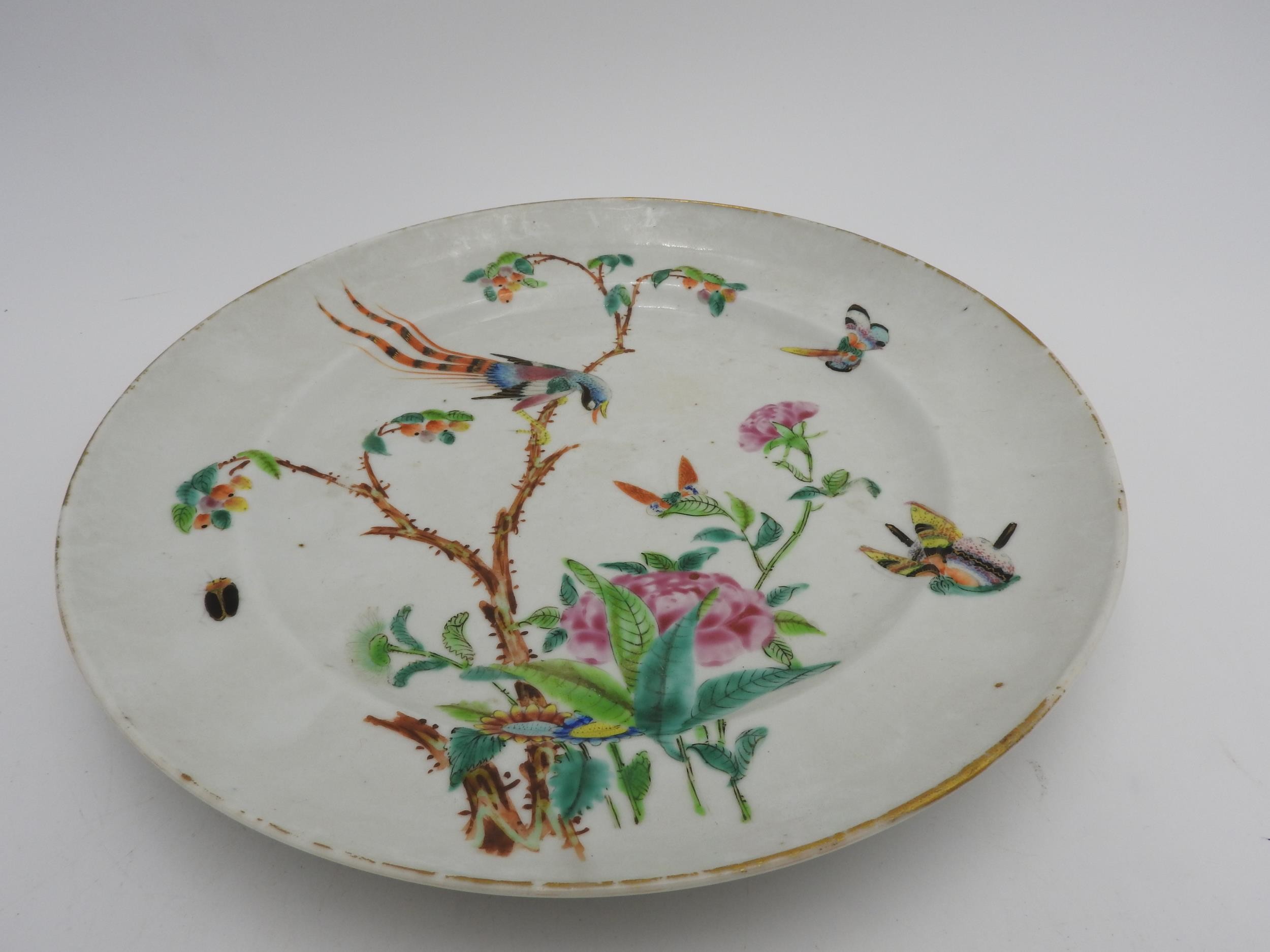 CHINESE FAMILLE ROSE PLATE QING DYNASTY, 19TH CENTURY painted with exotic birds and insects amidst