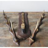 A WOODEN MOUNTED HUNTER'S DEER FOOT TROPHY AND A PAIR OF HORN MOUNTED GUN RESTS