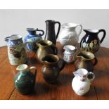 A COLLECTION OF ELEVEN CERAMIC AND POTTERY JUGS, including a Coalport sparrow beak jug and a