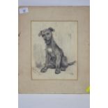 After Cecil Aldin. Charcoal portrait of a happy looking dog, signed A. S. Dec 1912 33cm wide x 39cm
