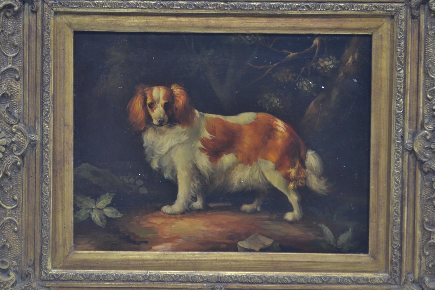 C19 oil on board of a spaniel standing, in an ornate gilt frame. 65cm x 55xm inclusive of frame  - Image 2 of 2