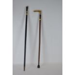 Sword and bone Handle silver collar walking sticks