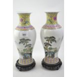 Pair of C20 Chinese vases, decorated with mountainous waterscapes &amp; script, character mark to ba