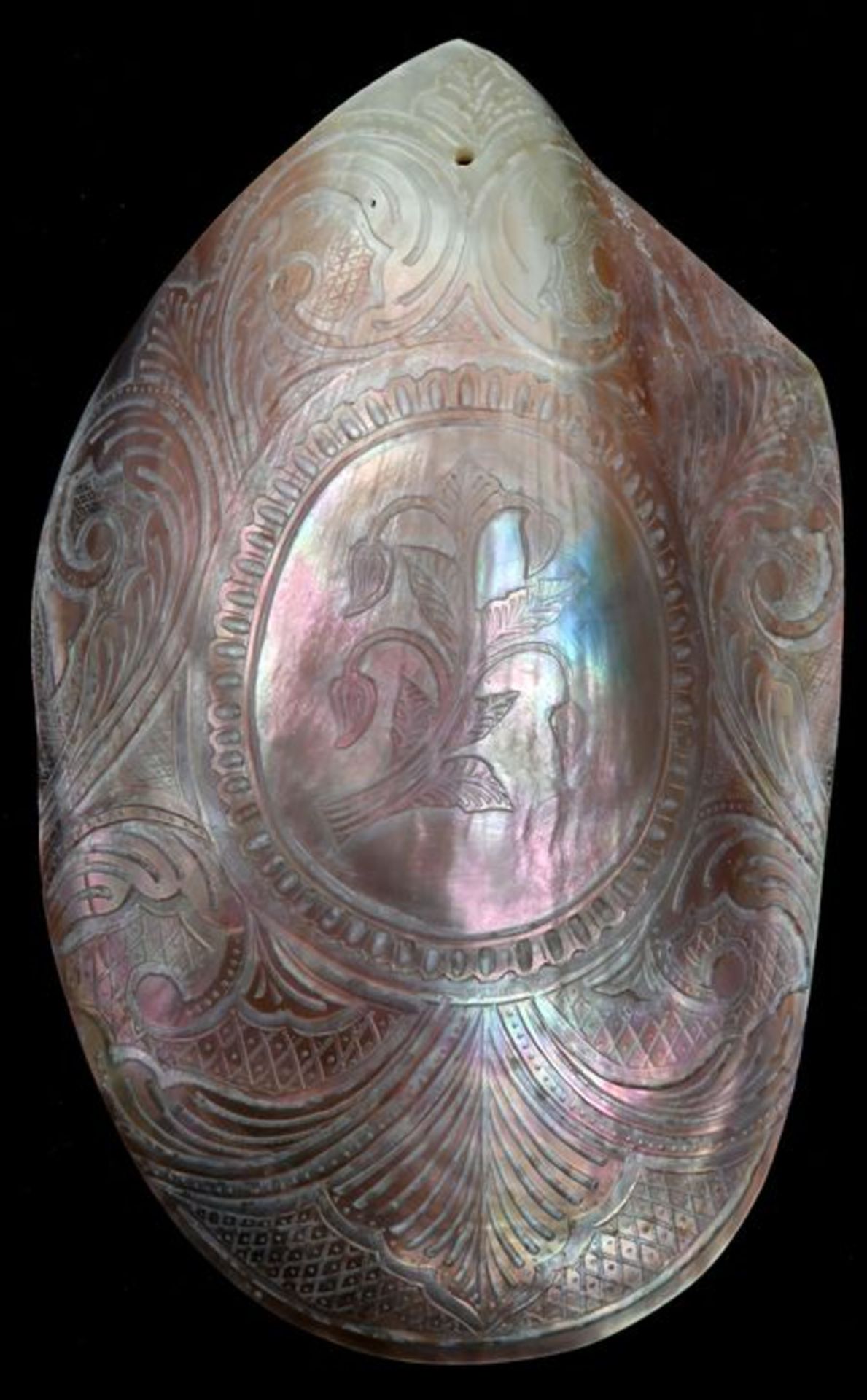 Muschel mit floraler Gestaltung und SchmuckornamentenPerlmutt, vermutlich USA Sammlernummerie