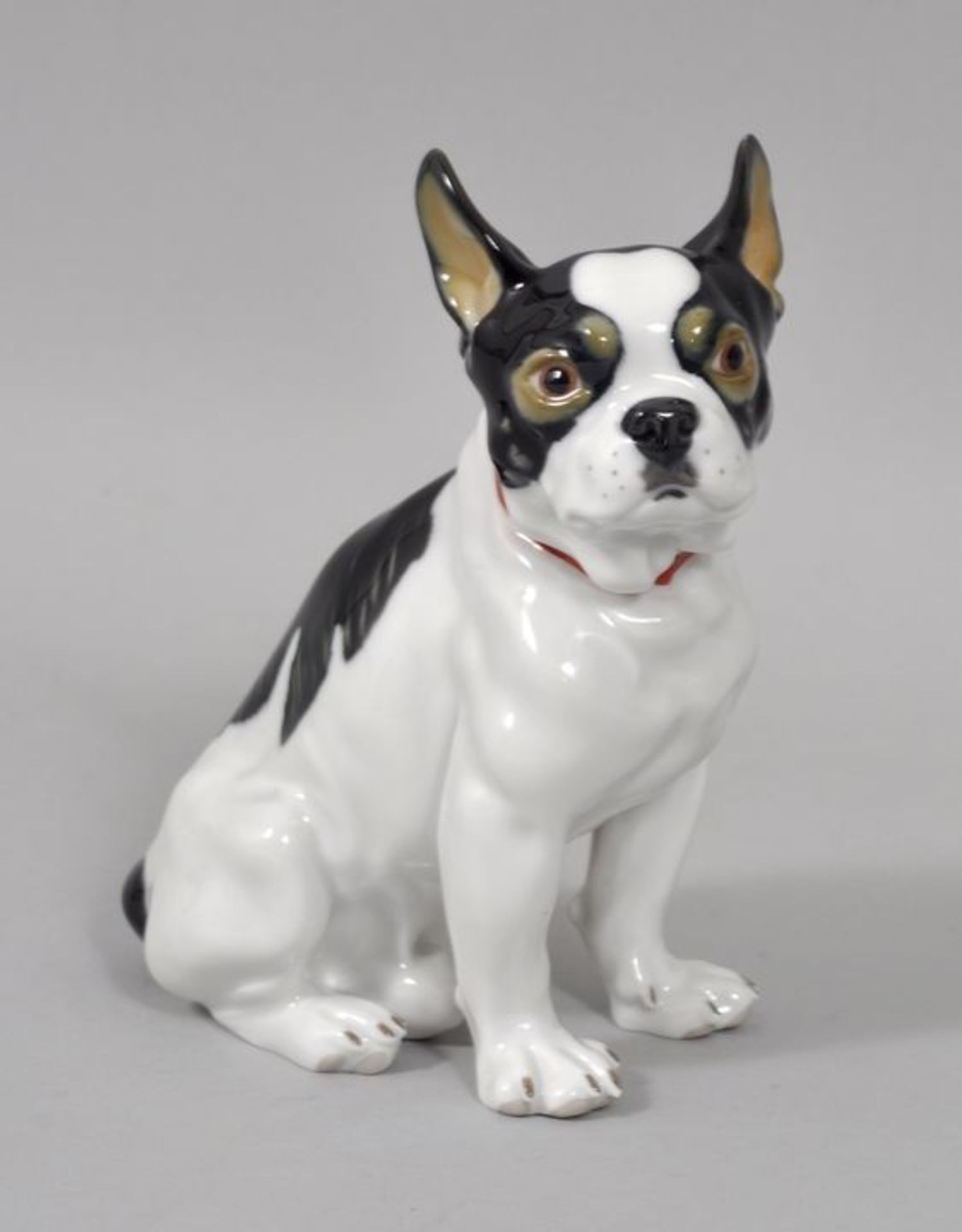 Porzellanfigur Zwergbulldogge, Meissen, Mitte 20. Jh.Modell Erich Hösel 1911. Porzellan, pol