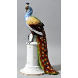 Porzellanfigur Pfau auf Sockel, Katzhütte (Thüringen), Hertwig & Co, 1914-1945Porzellan, re