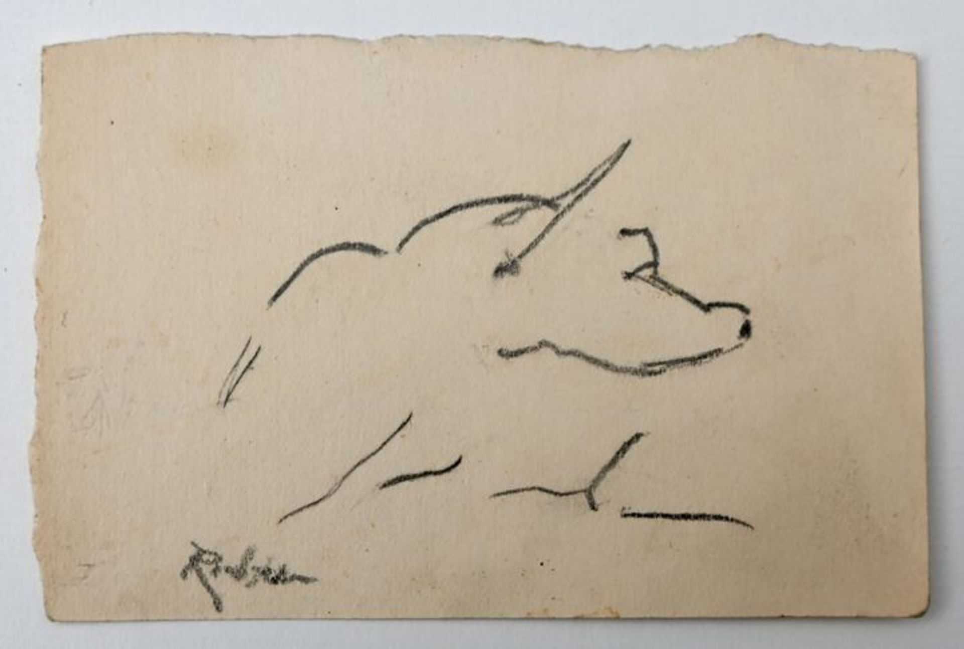 Richter, Etha. Dresden 1883 - 1977Tierdarstellung Eisvogel (?)/ Hundekopf (?), Bleistiftskizz